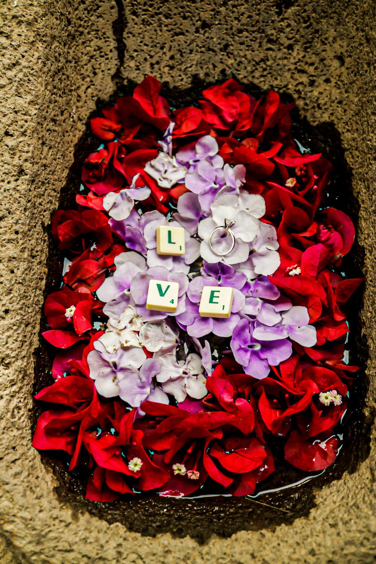AlonsoK Photography
